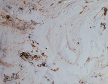 Load image into Gallery viewer, Chocolate Hazelnut Creme